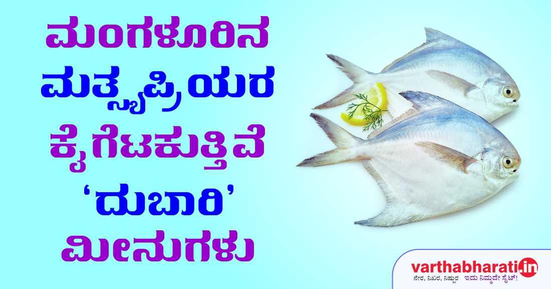 ಮಂಗಳೂರಿನ ಮತ್ಸ್ಯಪ್ರಿಯರ ಕೈಗೆಟುಕುತ್ತಿವೆ ’ದುಬಾರಿ’ ಮೀನುಗಳು